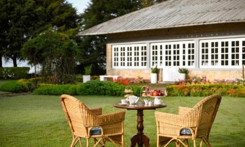 Tea Table with two chairs in lawn area